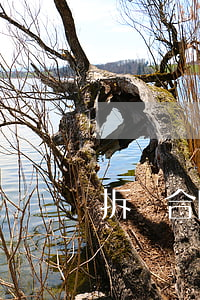 拆遷合同糾紛怎么維權(quán)訴訟