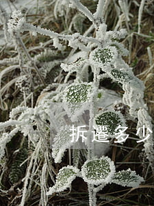 拆遷多少錢一平米(拆遷房一平米多少錢)