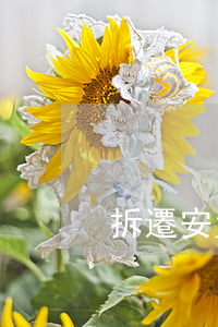 拆遷安置房合同糾紛怎么解決