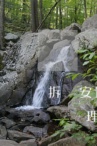 拆遷安置房產(chǎn)權(quán)證辦理