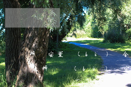 拆遷安置補(bǔ)償合同糾紛如何解決(房屋拆遷補(bǔ)償安置協(xié)議)