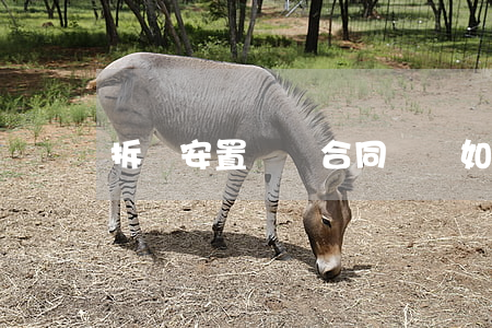 拆遷安置補償合同糾紛如何解決
