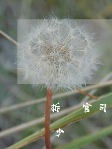 拆遷官司律師費怎么算(動遷官司律師費收多少)