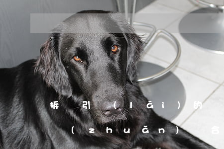 拆遷引來(lái)的“確認(rèn)房屋轉(zhuǎn)讓合同無(wú)效”官司