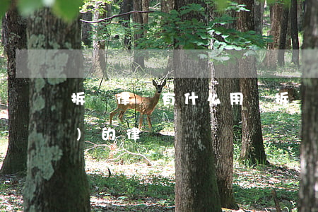 拆遷律師有什么用處(拆遷房地產(chǎn)的律師)