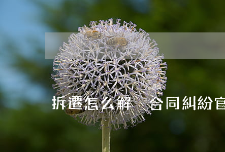 拆遷怎么解決合同糾紛官司