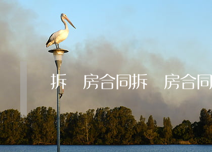 拆遷房合同(拆遷房合同丟了怎么辦?)