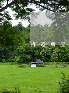 拆遷房屋合同-合同