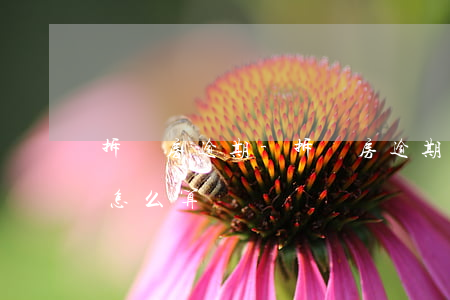 拆遷房逾期-拆遷房逾期安置費(fèi)怎么算