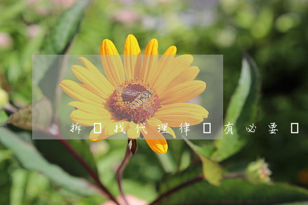 拆遷找代理律師有必要嗎
