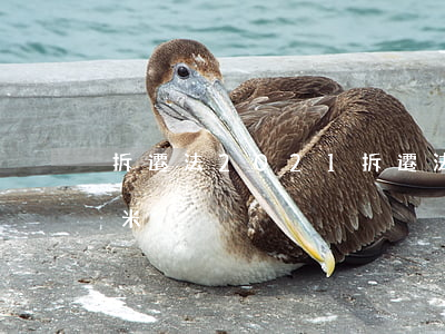 拆遷法2021(拆遷法2021多少萬一平米)
