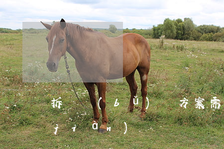 拆遷補(bǔ)償方案需要征求公眾意見(jiàn)嗎