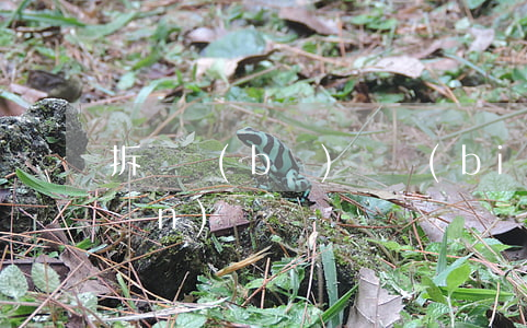拆遷補(bǔ)償標(biāo)準(zhǔn)