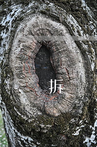 拆遷補償協(xié)議在哪有備案