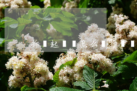 拆遷起訴書怎么寫(拆遷訴求怎么寫)