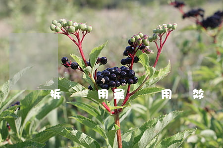 拆遷適用最長適用時效嗎