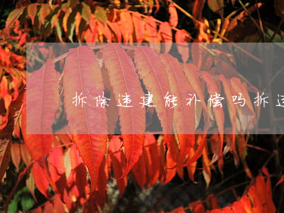 拆除违建能补偿吗(拆违建房有补偿吗)