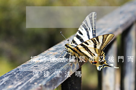 拆除違法建筑可以破門而入嗎(私自拆除鄰居違建違法嗎)