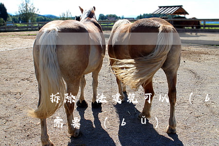 拆除違法建筑可以補(bǔ)償嗎(拆除違建需要補(bǔ)償嗎)