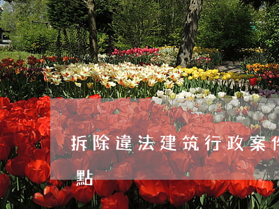 拆除違法建筑行政案件的審理思路和裁判要點