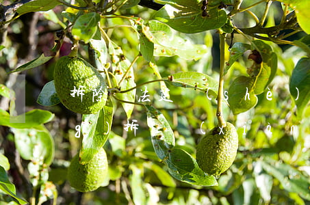 拆除違法建設(shè)可以強(qiáng)拆嗎(現(xiàn)在違建可以強(qiáng)拆嗎)