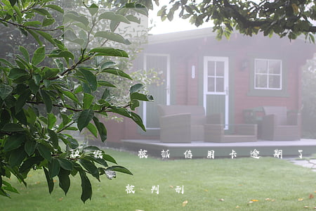 拉假煙被抓信用卡逾期了有影響嗎 幫人拉假煙會被判刑嗎