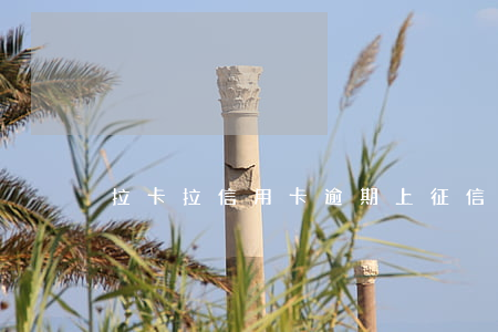 拉卡拉信用卡逾期上征信嗎(拉卡拉考拉征信)