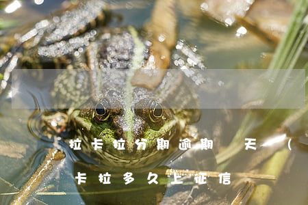 拉卡拉分期逾期幾天會(huì)上征信(拉卡拉多久上征信)