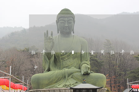 拉卡拉只還本金(用拉卡拉還信用卡利息是多少)
