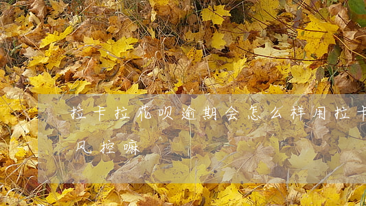 拉卡拉花呗逾期会怎么样(用拉卡拉刷花呗会风控嘛)