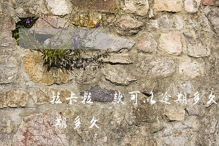 拉卡拉貸款可以逾期多久(拉卡拉貸款可以逾期多久)