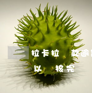 拉卡拉貸款逾期怎樣收回(拉卡拉借款多久可以審核完)