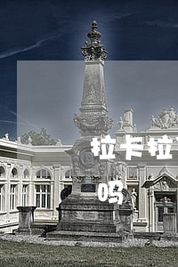 拉卡拉贷款逾期咋办(拉卡拉贷款有回访电话吗)