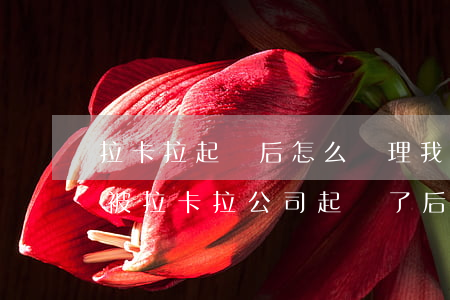 拉卡拉起訴后怎么處理(我已經(jīng)被拉卡拉公司起訴了,后續(xù)怎么辦)