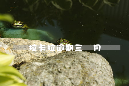 拉卡拉逾期三個月