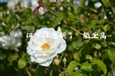 拉卡拉逾期了還能坐高鐵嗎
