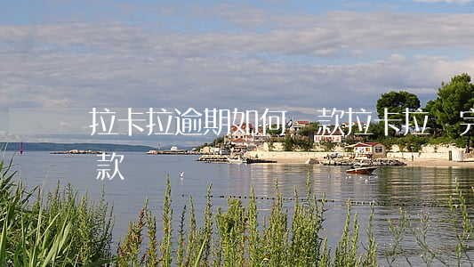 拉卡拉逾期如何還款(拉卡拉還完款多久能貸款)