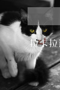 拉卡拉逾期怎么還款(拉卡拉信用卡還款)