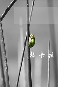 拉卡拉逾期扣款功能強(qiáng)