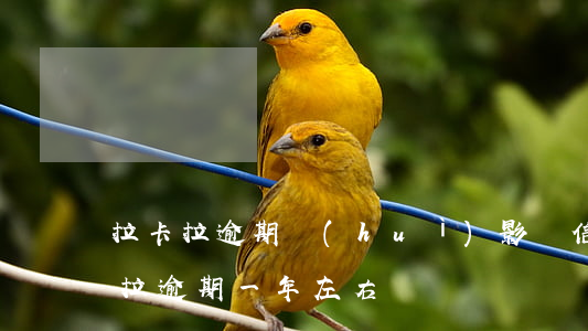 拉卡拉逾期會(huì)影響信用卡嗎(拉卡拉逾期一年左右)