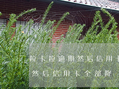 拉卡拉逾期然后信用卡全部降額(拉卡拉逾期然后信用卡全部降額)