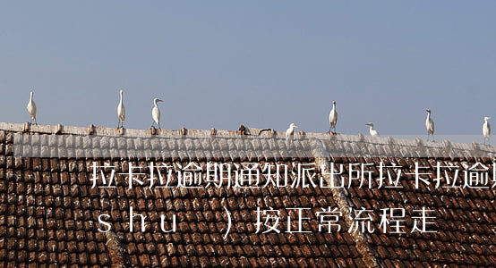 拉卡拉逾期通知派出所(拉卡拉逾期一天說(shuō)按正常流程走)
