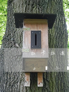 拉卡拉逾期還能恢復(fù)嗎 拉卡拉逾期2個小時