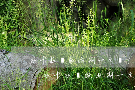 拉卡拉還款逾期一次結(jié)清后再貸-拉卡拉還款逾期一次結(jié)清后再貸款怎么辦
