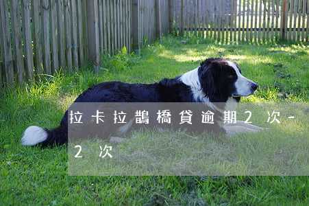拉卡拉鵲橋貸逾期2次-拉卡拉鵲橋貸逾期2次