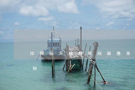 拉姆前夫被判死刑 故意杀人什么情况下判死刑?