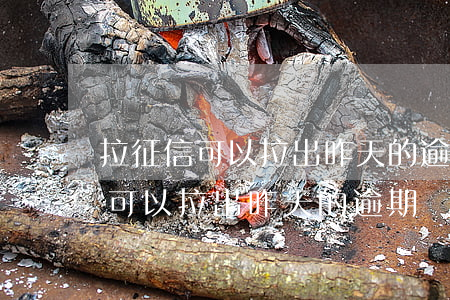 拉征信可以拉出昨天的逾期記錄嗎-拉征信可以拉出昨天的逾期記錄嗎怎么查