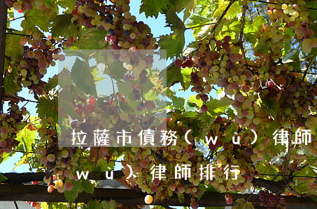 拉薩市債務(wù)律師排行（拉薩市債務(wù)律師排行）