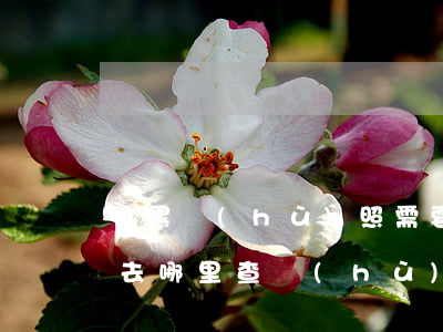 拉黑護(hù)照需要多少錢(qián)(去哪里查護(hù)照被拉黑)