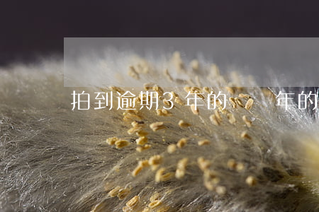 拍到逾期3年的車(兩年的車逾期檢驗)